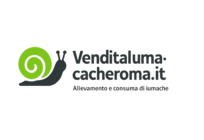 Venditalumacheroma.it
